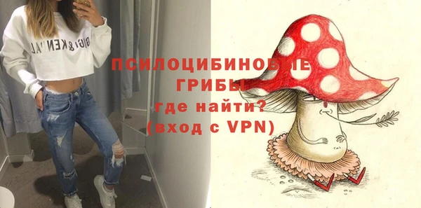 2c-b Медвежьегорск