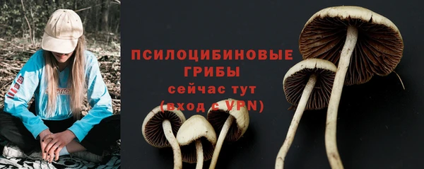 первитин Медногорск