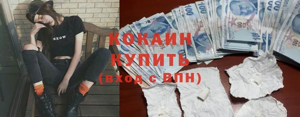 дмт Мегион