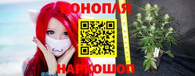 дживик Кингисепп