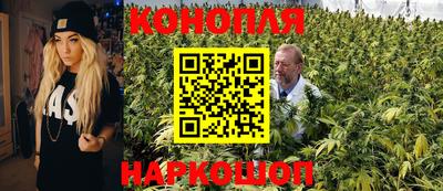 дживик Кингисепп