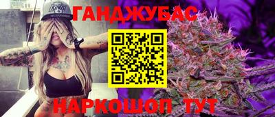 дживик Кингисепп