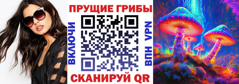 блэк спрут   Муравленко  Галлюциногенные грибы Magic Shrooms 
