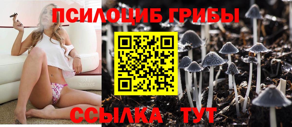 Галлюциногенные грибы Psilocybine cubensis  Вход с VPN  Муравленко 